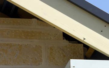 soffit repair Bowldown